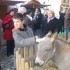 marché noel d avallon!