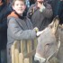 marché noel d avallon!