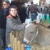 marché noel d avallon!