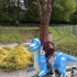 dino-zoo 2011