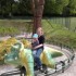 dino-zoo 2011