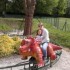 dino-zoo 2011