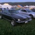 expo americaine a thise2011