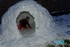 UN BEL IGLOO