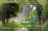 CREATION FORÊT