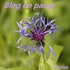 BLOG EN PAUSE