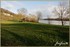 EN BORDURE DE SEINE