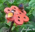 DES BEAUX PAPILLONS
