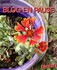 BLOG EN PAUSE