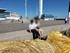 VACANCES EN NORMANDIE