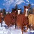 Mes animaux préférés