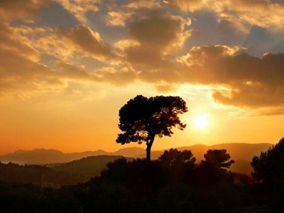 coucher de soleil africain