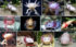 Photos animaux insollites  (1)