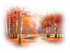 Poème. Les arbres d'octobre