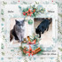 Quelques scraps de mes chats!