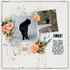 Album 2025-suite 1