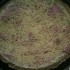 Quiche aux endives