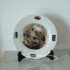 ASSIETTE CASQUE F1