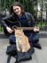 Bob le chat