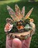 Le souffle des Dragons - Les c
