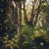 Victoria Beata, artiste & 