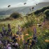 Victoria Beata, artiste & 
