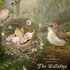 Charlotte Bird Fairy Photograp