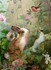 Charlotte Bird Fairy Photograp