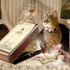 Charlotte Bird Fairy Photograp