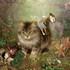Charlotte Bird Fairy Photograp