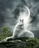 Cindy Grundsten, artiste