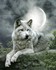 Cindy Grundsten, artiste
