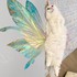 Fancy Fairy Wings, créatrice 