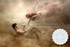 Cheryl Walsh Fine Art Photogra