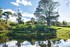 Hobbiton Movie Set