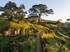 Hobbiton Movie Set