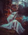 Sixess Photography