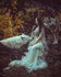 Sixess Photography