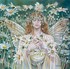 Sheila Wolk, artiste