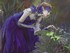 A.M. Lorek Photography