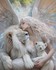 Féerie et fantasy