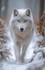 Princesses et loups