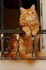 Adorables animaux