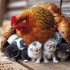 Adorables animaux