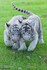 Adorables animaux