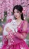 Animaux et belles dames
