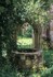 Fairytale Garden