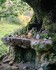 Fairytale Garden