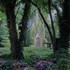 Fairytale Garden