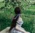 Fairytale Garden